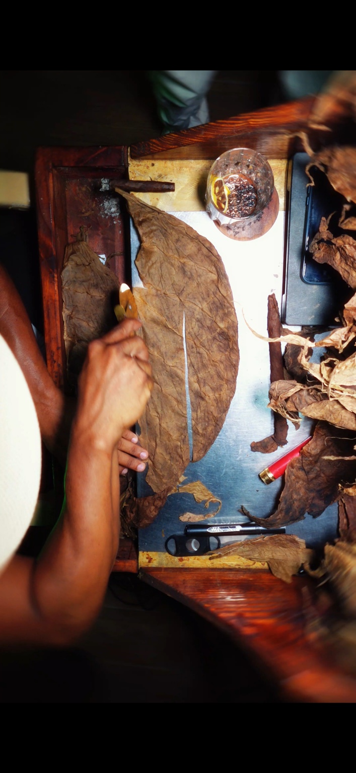 Maestro torcedor cortando una hoja de tabaco sobre su mesa de trabajo
